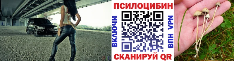 Галлюциногенные грибы GOLDEN TEACHER  Верхотурье 